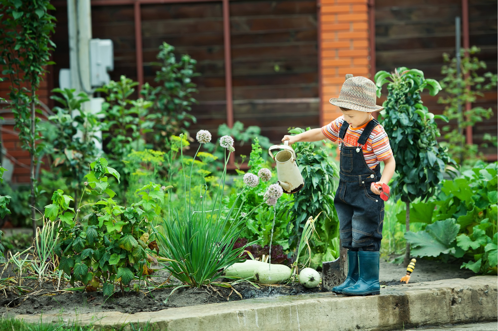 25 Fun Plants To Grow With Children | Easy Gardening Ideas Kids Will Love